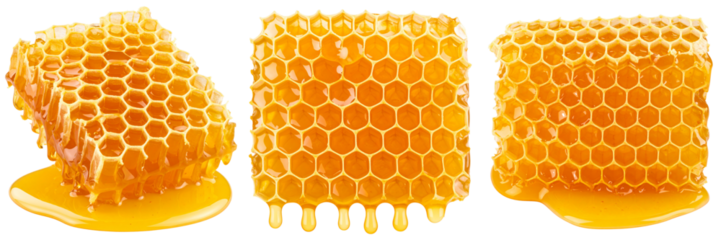 Set Of Realistic Honeycomb with Golden Honey Drips, Transparent Background