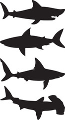 set of sharks