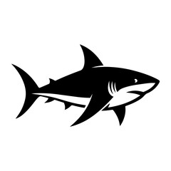 vector illustration of a shark