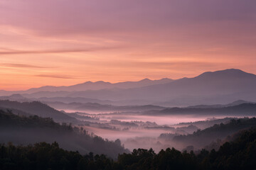 Fototapeta premium breathtaking scene of sunrise over majestic mountains enveloped in soft swirling fog