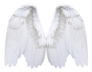 Majestic White Angel Wings Fully Spread, Feather Detail Close-Up, Front View, Transparent Background