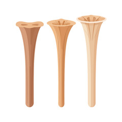 Amorphophallus decussilvae illustration 