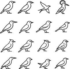 Naklejka premium Various Bird Illustrations in Simple Line Art Style