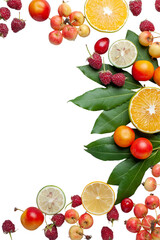Vibrant Assorted Fruits and Leaves Decorative Border for Summer Design