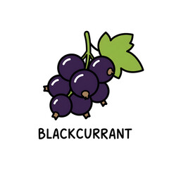 Minimal flat doodle vector illustration of blackcurrant with handwritten label
