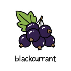 Minimal flat doodle vector illustration of blackcurrant with handwritten label
