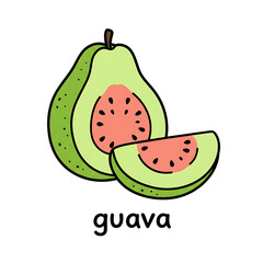 Minimal flat doodle vector illustration of a guava with handwritten label

