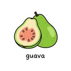 Minimal flat doodle vector illustration of a guava with handwritten label

