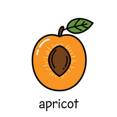 Minimal flat doodle vector illustration of an apricot with handwritten label
