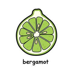 Minimal flat doodle vector illustration of a bergamot slice with handwritten label

