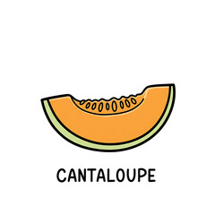 Minimal flat doodle vector illustration of a cantaloupe slice with handwritten label