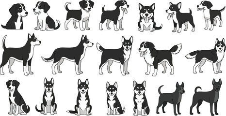 Fototapeta premium Collection of various black and white dog breeds in different poses on a white background vector art