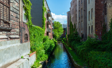 Narrow courtyard with old and modern buildings covered in green ivy, flanking a small water canal. Bright summer day with strong urban greenery and architectural textures.