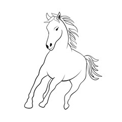 horse outline