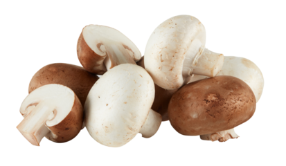 Fresh Agaricus bisporus mushroom cut out isolated transparent background