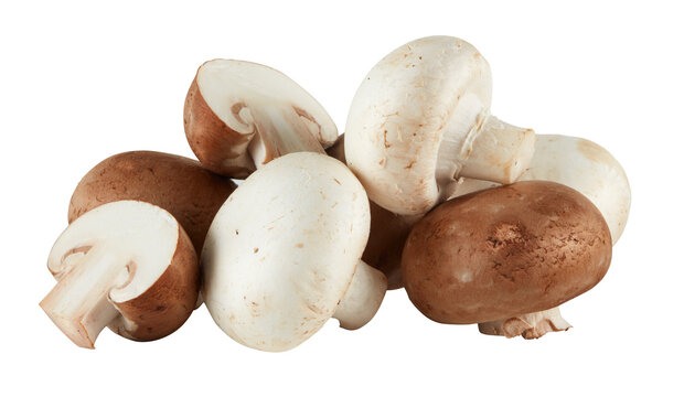 Fresh Agaricus bisporus mushroom cut out isolated transparent background