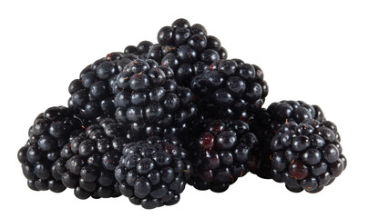 Fresh Blackberries cut out isolated transparent background