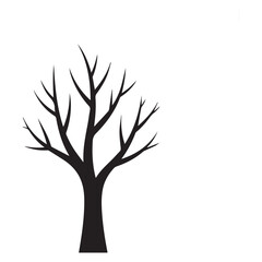 Fototapeta premium A bare tree silhouette in winter isolated on white background