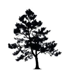 Fototapeta premium Silhouetted Tree Branch Silhouette Black and White Nature Image