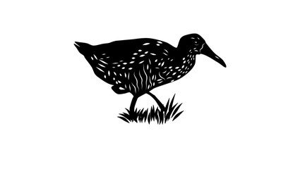 Speckled Rail bird, black isolated silhouette