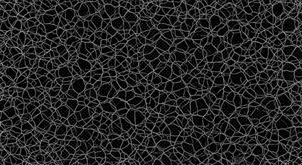 A complex network of white lines on a black background with subtle dotted patterns visible throughout on transparent background