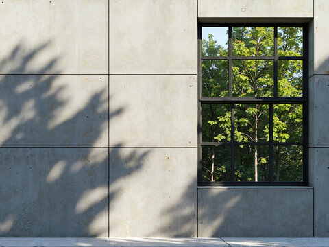 Fair-faced Concrete Wall with Window and Tree Shadows