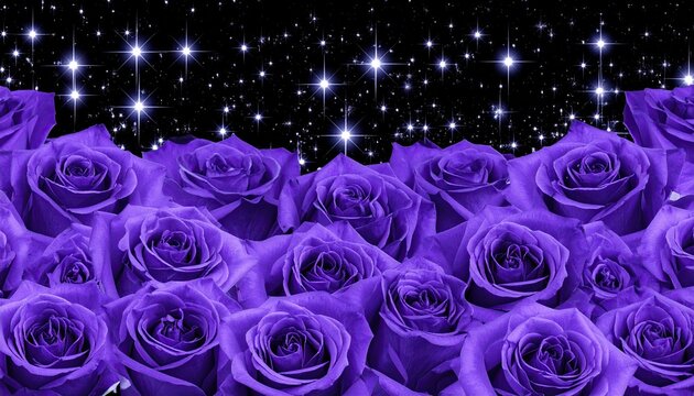 Purple roses against a starry night sky - Powered by Adobe