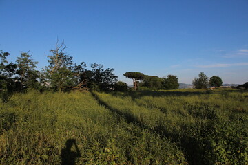Ancient stone aqueduct near Rome. Ruins of the iconic Parco degli Acquedotti, Rome, Italy. The...
