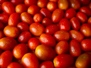 Organic Red grape cherry tomato. fresh vegetables. copy space.