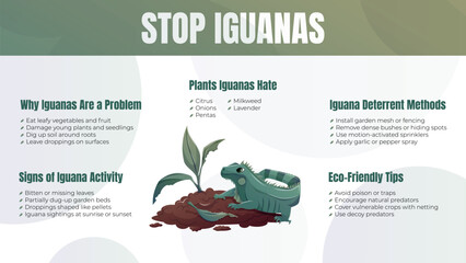 Vector horizontal infographic poster Stop Iguanas with cartoon green iguana, damaged garden, signs of infestation, control methods, and eco-friendly tips. Educational and eye-catching design.