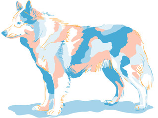 Hand drawn flat vector illustration of a dog in colorful style  