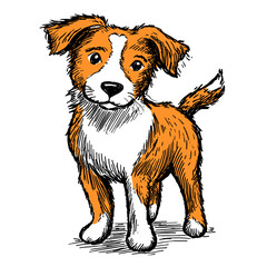 Hand drawn flat vector illustration of a dog standing with a playful look  