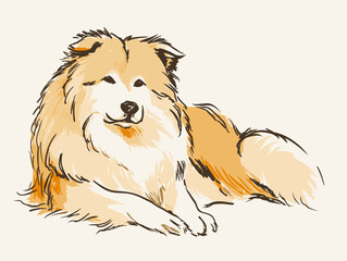 Hand drawn flat vector illustration of a dog lying calmly on a light background  