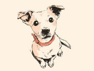 Hand drawn flat vector illustration of a dog with bright eyes and collar  