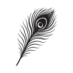 Elegant black peacock feather with distinctive eye pattern in silhouette