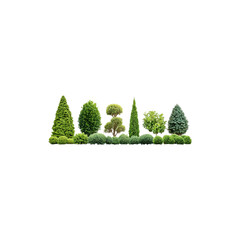  Collection of Well Trimmed Ornamental Green Shrubs Isolated on White Background