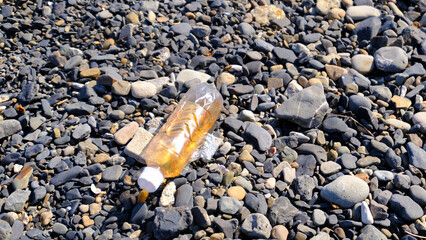 浜辺に落ちていたペットボトル