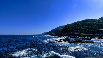 高知県の海