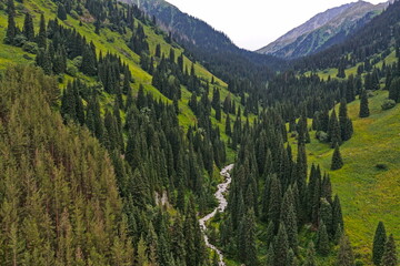 Alma-Arasan Gorge. Ile-Alatau National Park. Mountainous terrain with different vegetation and...