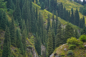 Alma-Arasan Gorge. Ile-Alatau National Park. Mountainous terrain with different vegetation and...
