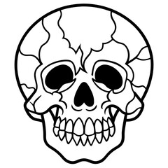 human skull