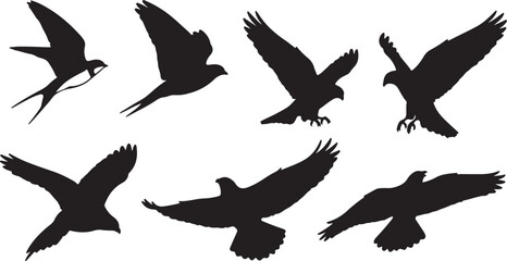 Obraz premium silhouettes of birds Flying Birds Silhouettes Set - Swallow & Raptor Vector Graphics Dynamic Avian Flight - Mixed Bird Species Black Silhouettes