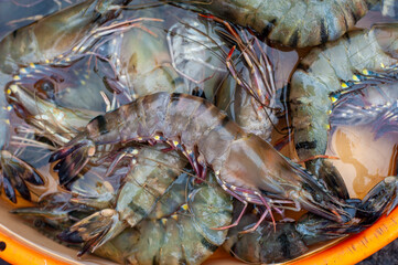 Seafood selling on the street of Vietnam