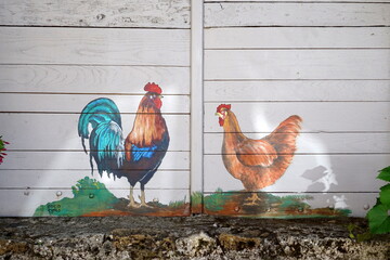 Gallo e gallina dipinti su una porta 