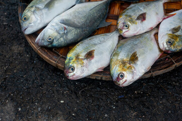 Seafood selling on the street of Vietnam