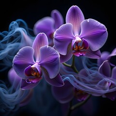 Mystical Purple Orchid Flowers with Ethereal Smoke Effect