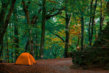 active vacation tourism hiking life style static picture concept of tent camp site in autumn forest landscape environment space with orange falling foliage and mountain rock