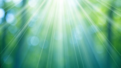 Soft Green Sunlight Filtering Through a Peaceful Forest Creating an Abstract Glowing Background