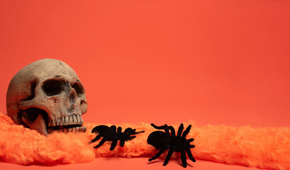 Creepy Halloween setup with a skull, black spiders, and orange web-like fabric on a bright...