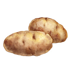 Watercolor whole potatoes on transparent background